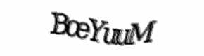 Security check image, please type the characters shown