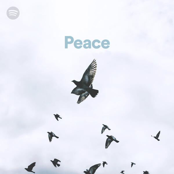 Playlist Card Image
