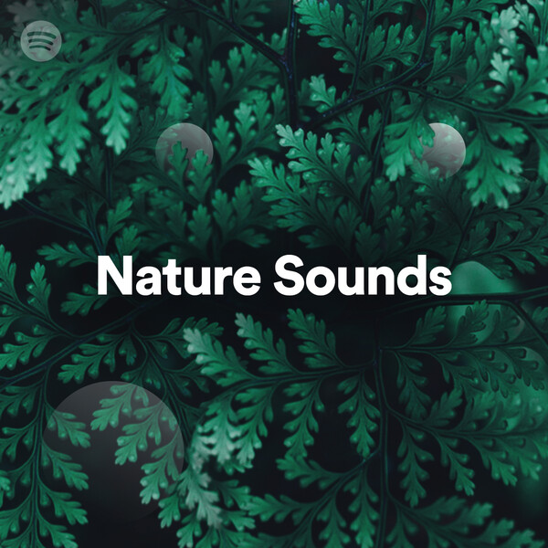 Playlist Card Image